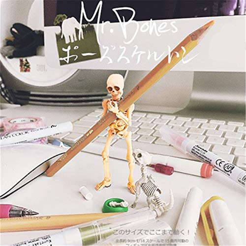 BMBN Bones, Movable Mr.Bones Esqueleto Modelo Humano Cráneo Cuerpo Completo Mini Figura de Juguete Halloween