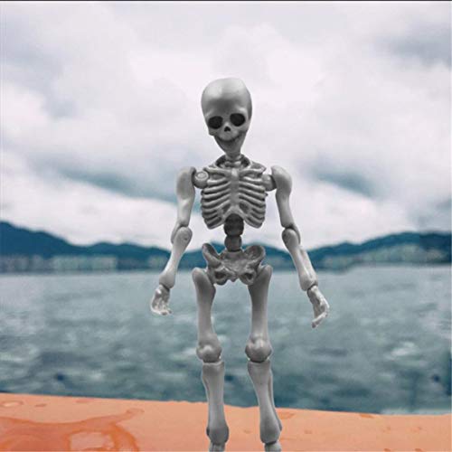 BMBN Bones, Movable Mr.Bones Esqueleto Modelo Humano Cráneo Cuerpo Completo Mini Figura de Juguete Halloween