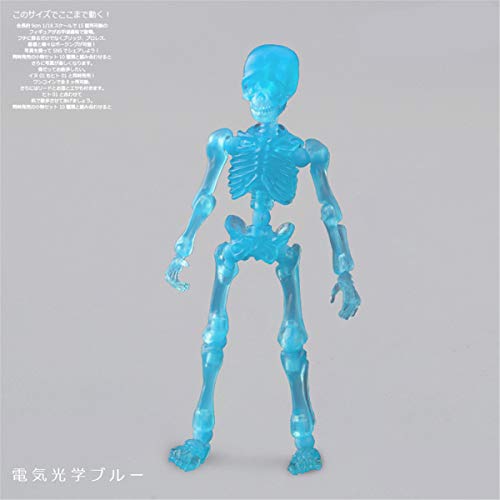 BMBN Bones, Movable Mr.Bones Esqueleto Modelo Humano Cráneo Cuerpo Completo Mini Figura de Juguete Halloween