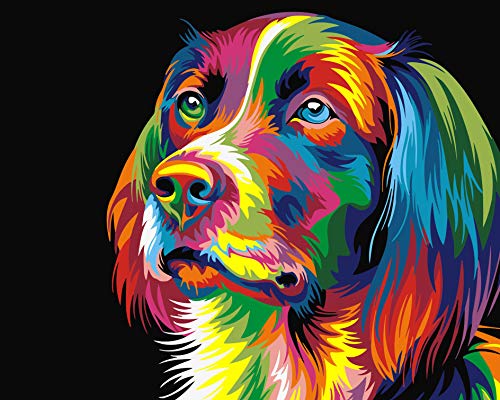 BOSHUN Pintar por Numeros para Adultos Niños Pintura por Números con Pinceles y Pinturas Decoraciones para el Hogar Perro Colorido (16 * 20 Pulgadas, Sin Marco)