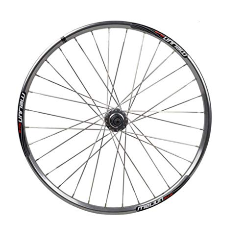 CHICTI Ciclismo Wheels Montaña 26 Pulgadas,Rueda Freno de Disco 32 Hoyos Llanta de Aleación de Aluminio Radios Planos Acero Inoxidable Deportes