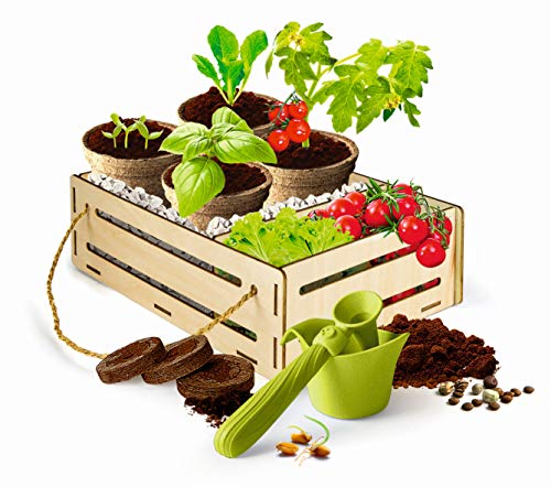 Clementoni 59207 Galileo Play for Future – Mi Kit de jardinería – Kit de experimentación para pequeños Aficionados a Las Plantas, botánica y biológica para niños a Partir de 7 años, Ciencia en casa