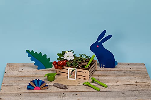 Clementoni 59207 Galileo Play for Future – Mi Kit de jardinería – Kit de experimentación para pequeños Aficionados a Las Plantas, botánica y biológica para niños a Partir de 7 años, Ciencia en casa