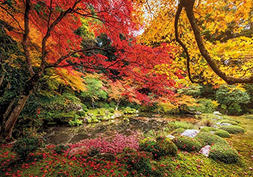 Clementoni- Parque EN OTOÑO Puzzle Adulto, Multicolor (31820)