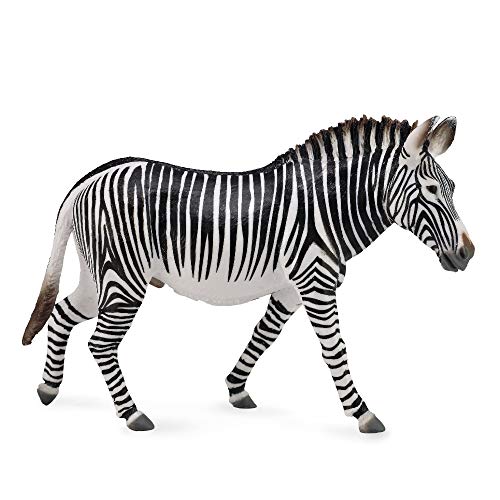 Collecta La Cebra de Grevy