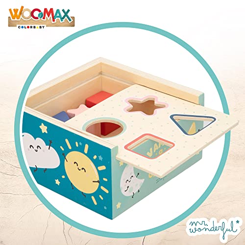 ColorBaby WOOMAX - Mr Wonderful-Caja Formas de Madera +12m - 5pcs (48803)