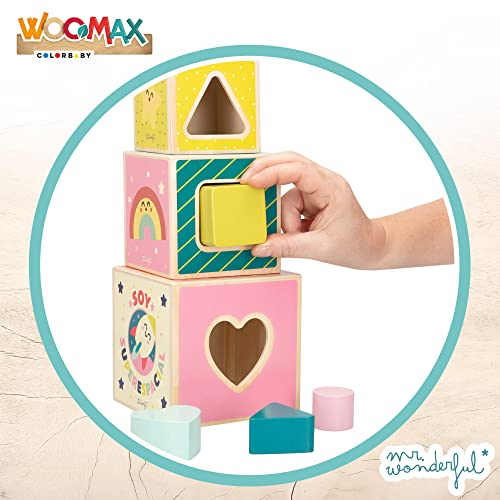 ColorBaby WOOMAX - Mr Wonderful-Torre Cubos de Madera +12m (48801)