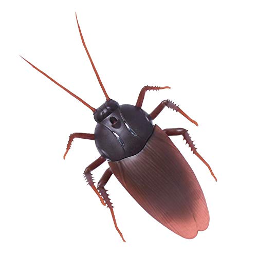 Cucaracha de Control Remoto, Cucaracha Animal de Alta Simulación Control Remoto por Infrarrojos Regalo de Juguete para Niños, Adecuado para para Fiesta Halloween Navidad