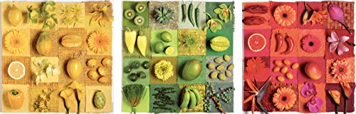 Educa Borras - Serie Deco, 3 puzzles de 500 piezas, Exotic fruits ans flowers, Andrea Tilk (18454)