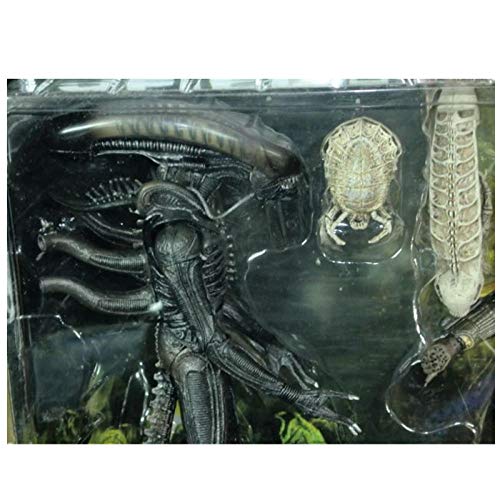 Estatua PVC Figuras De Acción Anime Figurita Juguetes Anime Heroes De Sangre De Hierro De 7 Pulgadas contra Cerebros Transparentes Alien Set Figure-Alien V