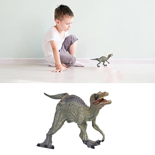 FASJ Modelo de Dinosaurio, Juguete de Spinosaurus de Simulación Realista Imaginativo Respetuoso con el Medio Ambiente para Niños para Niños(Nuevo Spinosaurus Mediano)