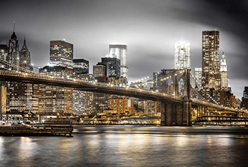 FFLFFL Puzzle para Adultos 1000 Piezas New York Skyline Jigsaw Puzzle Descompresión Inteligente Diversión Juego de Rompecabezas para Adultos para niños