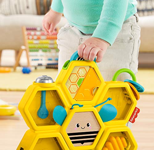 Fisher-Price-Busy Activity Hive (Mattel GJW27), Multicolor FSP-819113