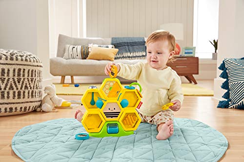 Fisher-Price-Busy Activity Hive (Mattel GJW27), Multicolor FSP-819113