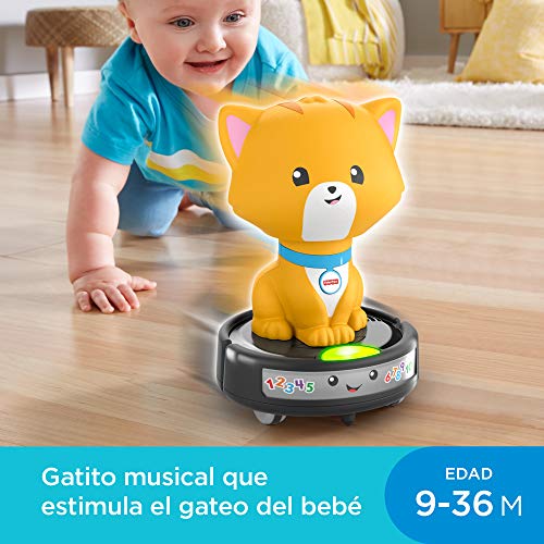 Fisher-Price Gatito montado sobre aspiradora (Mattel GMX70)