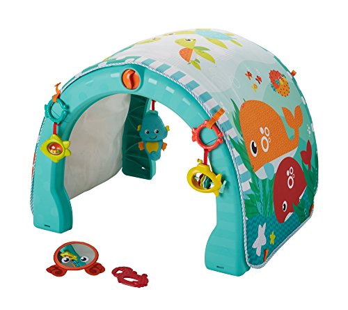 Fisher-Price Gimansio bebé océano 4 en 1, manta de juego para bebé (Mattel FXX12)