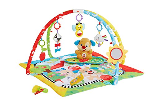 Fisher-Price Gimnasio aprendizaje de perrito, manta de juego bebé (Mattel FBD48) , color/modelo surtido