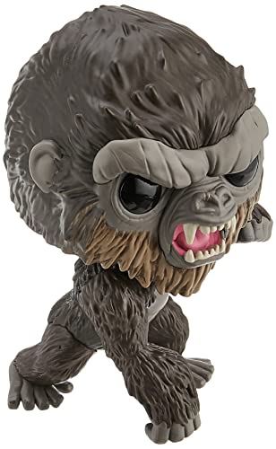 Funko- Pop Movies Kong-10 Godzilla Vs 10" Kong Figura coleccionable, Multicolor (50853)