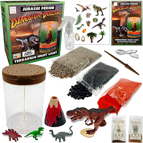 Hapinest Kit de terrario de dinosaurios con jardín volcán iluminado – Regalos de ciencia y artesanía para niños y niñas juguetes de 5 6 7 8 9 10 años en adelante