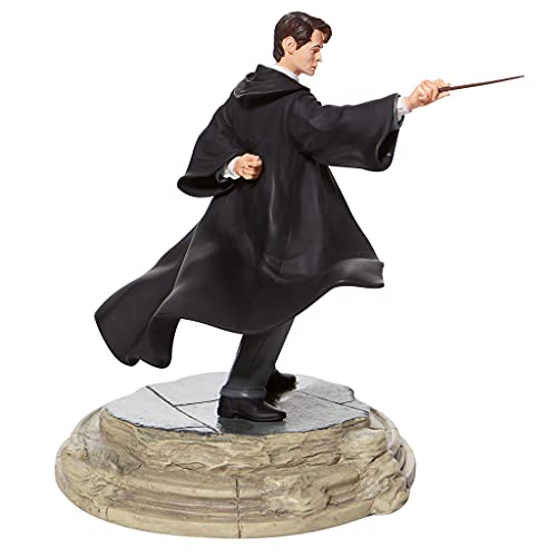 HARRY POTTER Tom Riddle Figurine Unisex Colección de Figuras Standard, Resina,