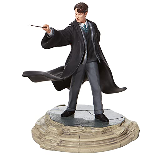 HARRY POTTER Tom Riddle Figurine Unisex Colección de Figuras Standard, Resina,