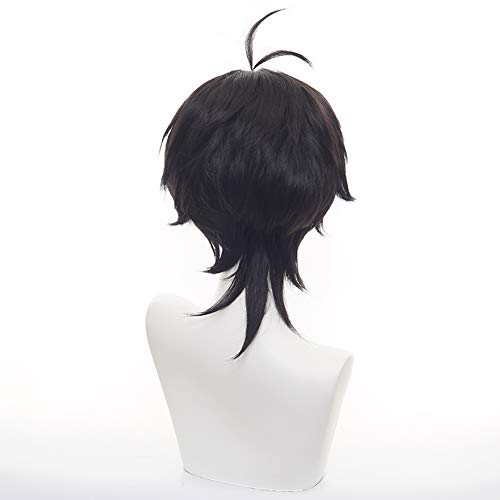 HIROAKIYA Miya Chinen Wig, Skate SK8 the Infinity Miya Chinen Cosplay Wig with Wig Cap, Peluca Negra Corta Cosplay Anime