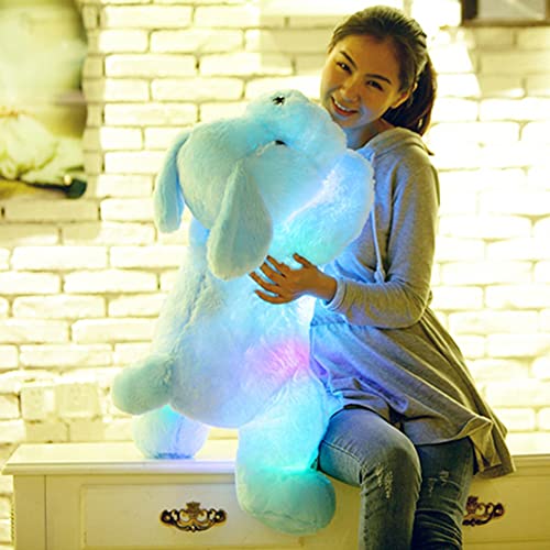 ISAKEN Colorido Luminoso Perro, LED Que Brilla intensamente del Perro de Perrito de Peluche Juguetes, Almohada De Felpa Cojín Juguetes para Niños Muñeco De Peluche Regalo De Cumpleaños para Niño