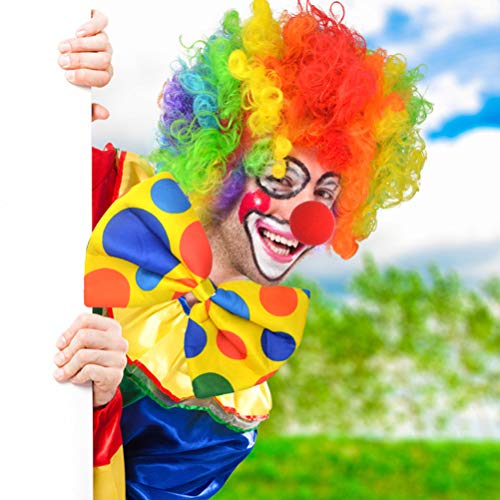 Jerbro Juego de 4 disfraz de payaso arco iris peluca payaso nariz guantes blancos para fiestas de payaso carnavales