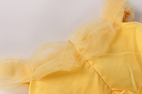 JerrisApparel Niña Princesa Belle Disfraz Tul Fiesta Trajes Vestido (Amarillo 1, 4 años)