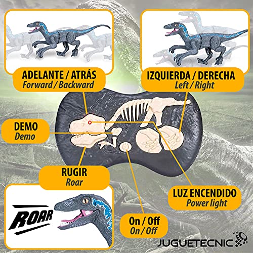 JUGUETECNIC | Velociraptor V2 Teledirigido | Camina y Ruge | Movimiento articulado Realista │ Juguete RC para niños | Robot Dinosaurio Interactivo │ Batería Recargable