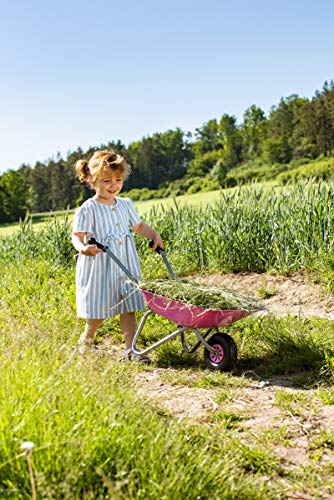 Kurgo Partir de 2,5 años, Carretilla Infantil, Cuenco de Metal, Asas de plástico, máx. Soporta hasta 25 kg, Color Rosa (Rolly Toys 274802)