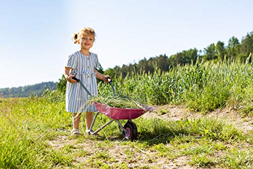 Kurgo Partir de 2,5 años, Carretilla Infantil, Cuenco de Metal, Asas de plástico, máx. Soporta hasta 25 kg, Color Rosa (Rolly Toys 274802)