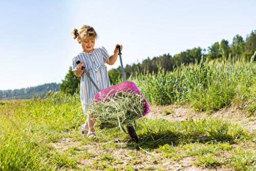 Kurgo Partir de 2,5 años, Carretilla Infantil, Cuenco de Metal, Asas de plástico, máx. Soporta hasta 25 kg, Color Rosa (Rolly Toys 274802)