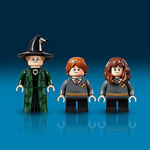 Lego 76382 Harry Potter Momento Hogwarts: Clase De Transfiguración Libro De Juguete Coleccionable +  75966 Harry Potter Sala De Los Menesteres De Hogwarts, Juguete De Construcción con Figuritas