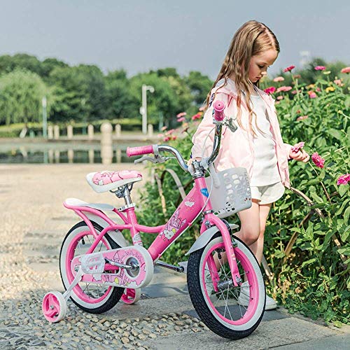 LHQ-HQ Estilo Bicicletas niños Equilibrio niños de la Muchacha Princesa de Bicicletas Bicicletas de 12" 14" 16" 18" Bicicleta Niños 3-12 for Empuje Años de Edad Niños Formación Rosa Bici (Tamaño: 12"