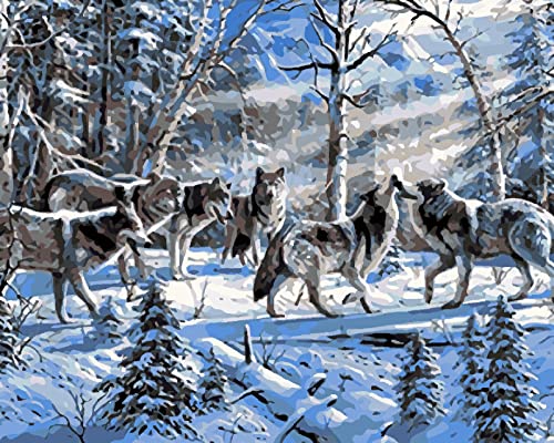 Lienzo de Bricolaje Regalo de Pintura al óleo para DIY oil Digital painting by Numbers Kits Lobo de nieve Adultos niños Pintura por número Kits Decoraciones para el hogar(Sin marco,45x60cm) L151