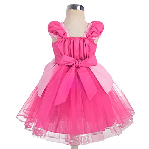 Lito Angels Disfraz de Bella Durmiente Vestido de Princesa Aurora para Bebe Niñas Talla 18-24 Meses, Rosa Caliente