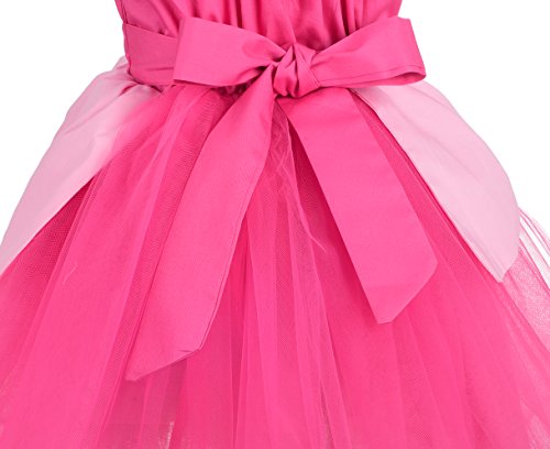 Lito Angels Disfraz de Bella Durmiente Vestido de Princesa Aurora para Bebe Niñas Talla 18-24 Meses, Rosa Caliente