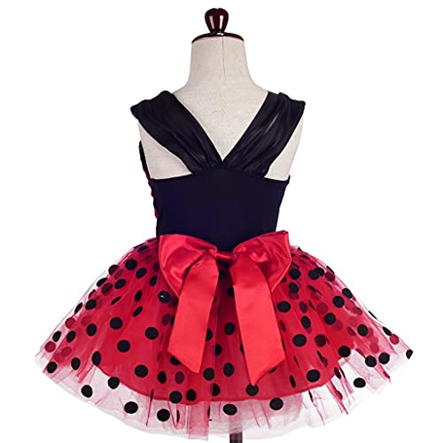 Lito Angels Vestido de Ladybug con Alas y Accesorios para Niña Disfraz de Mariquita Falda Tutu de Lunares Rojos Talla 2-3 Años