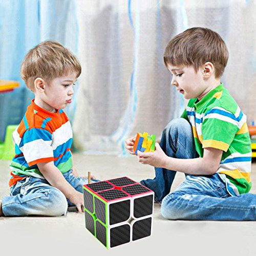 LSMY Speed Cube 2x2x2, Puzzle Mágico Cubo Carbon Fiber Sticker Toy