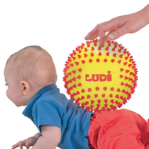 LUDI - Pelota sensorial Bicolor para el Desarrollo del bebé a Partir de 6 Meses de Edad con pies Duros. Pelota de Juego o Masaje fácil de agriear. Diámetro: 15 cm - Ref. 30018