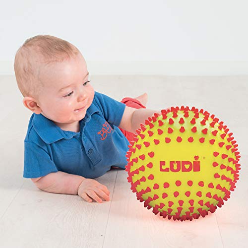 LUDI - Pelota sensorial Bicolor para el Desarrollo del bebé a Partir de 6 Meses de Edad con pies Duros. Pelota de Juego o Masaje fácil de agriear. Diámetro: 15 cm - Ref. 30018