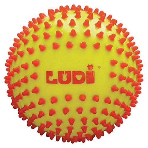 LUDI - Pelota sensorial Bicolor para el Desarrollo del bebé a Partir de 6 Meses de Edad con pies Duros. Pelota de Juego o Masaje fácil de agriear. Diámetro: 15 cm - Ref. 30018