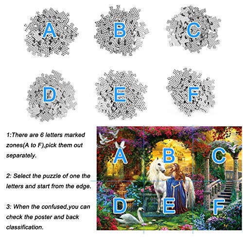 Lunriwis Puzzles 1000 Piezas, Puzzle Adulto 1000 Piezas Rompecabezas, Paisaje Rompecabezas Arte, Intelectual Educativo,Juego Familiar Puzzle, Juguete Regalo para Niños Adultos (Jardín Secreto)