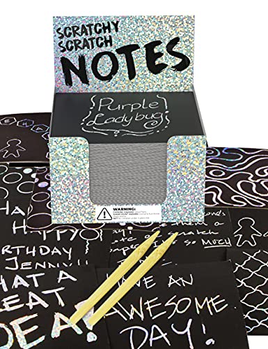 Mini Bloc de Notas Mágico con Hojas de Rascar de Purple Ladybug! 150 Cartulinas Negras Rascables para Dibujar con Niños, Manualidades, Escribir Listas - Incluye 2 Lápices! Fondo Plateado