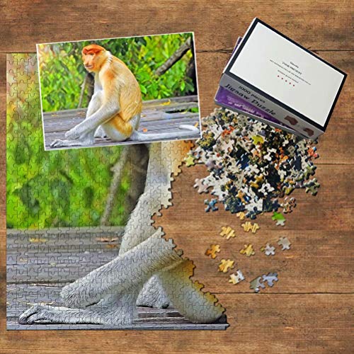 Mono narigudo de Malasia Sandakan Sabah Puzzle 1000 Piezas para Adultos Familia Rompecabezas Recuerdo Turismo Regalo