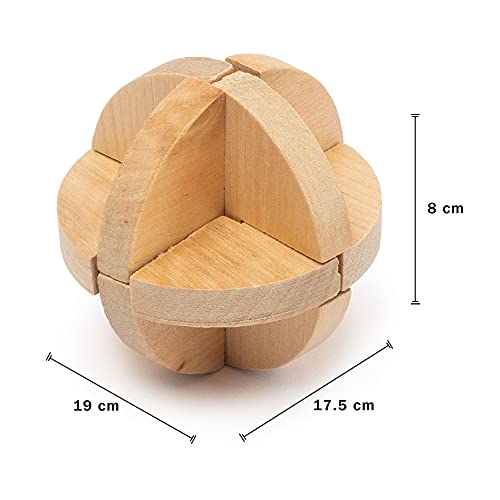 PAMRAY Juguetes Rompecabezas de Madera Set IQ Juguete Educativo 3D Cubo Juego Enigma para Niños Adolescentes Style B