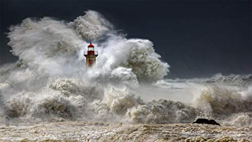 PANDABOOM Rompecabezas De 1000 Piezas, Un Faro En Oporto Llamado Fergheras, Portugal, Puzzle Juguete De Madera Decoración De Interiores