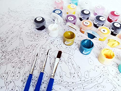 Pintura por números para Adultos DIY Pintura al óleo Kit con Pinceles y Pinturas para Niños Seniors Junior -Con Marco de Madera- Casa Voladora en Globo - 40 x 50 cm - PBN26078