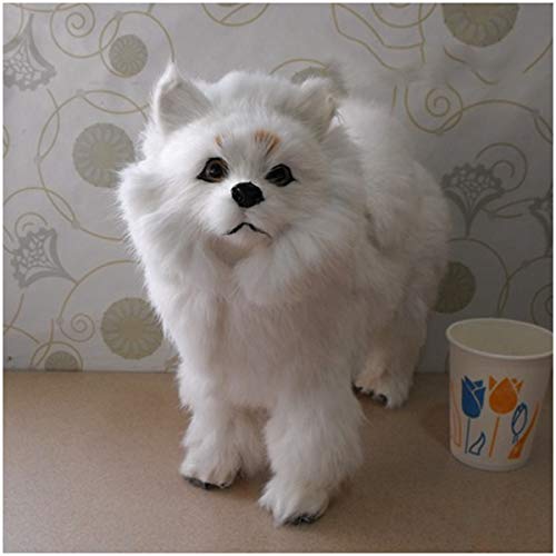 Pomeranian Modelo del perro - Realista animales de peluche modelo simulado Modelo del perro de Pomeranian - perro la simulación realista suave Figuras Modelos - para l los niños juguete regalo,Blanco